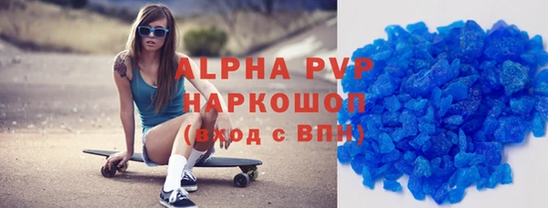мдпв Инсар