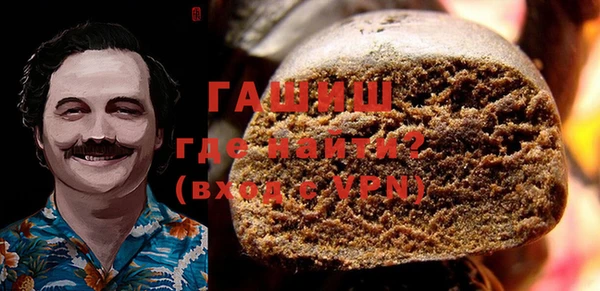 мдпв Инсар