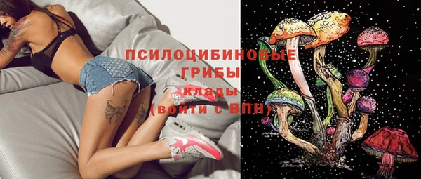 jwh Зерноград