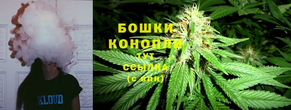 трава Зеленодольск