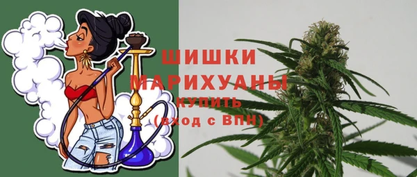 метадон Инта