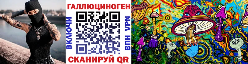 Купить закладки  Высоковск  Галлюциногенные грибы MAGIC MUSHROOMS 